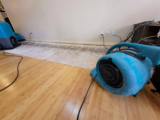Professional Emergency Water Damage technician working in Fruithurst, AL